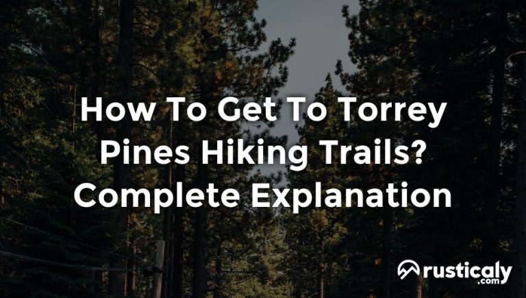 how to get to torrey pines hiking trails