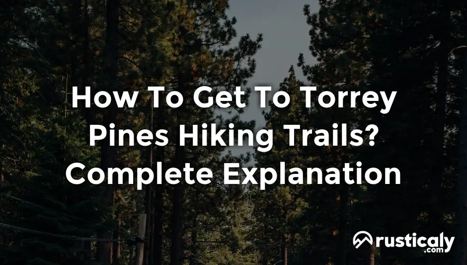 how to get to torrey pines hiking trails