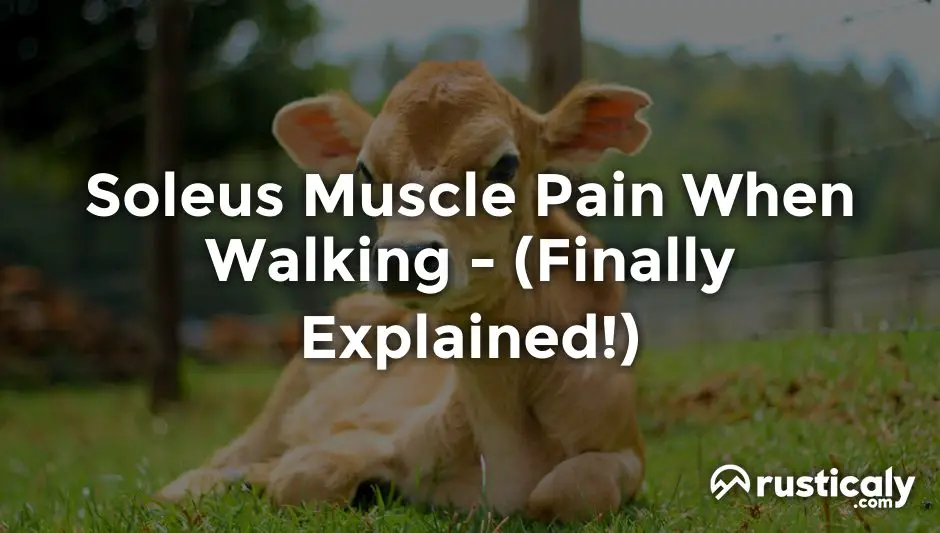 soleus muscle pain when walking