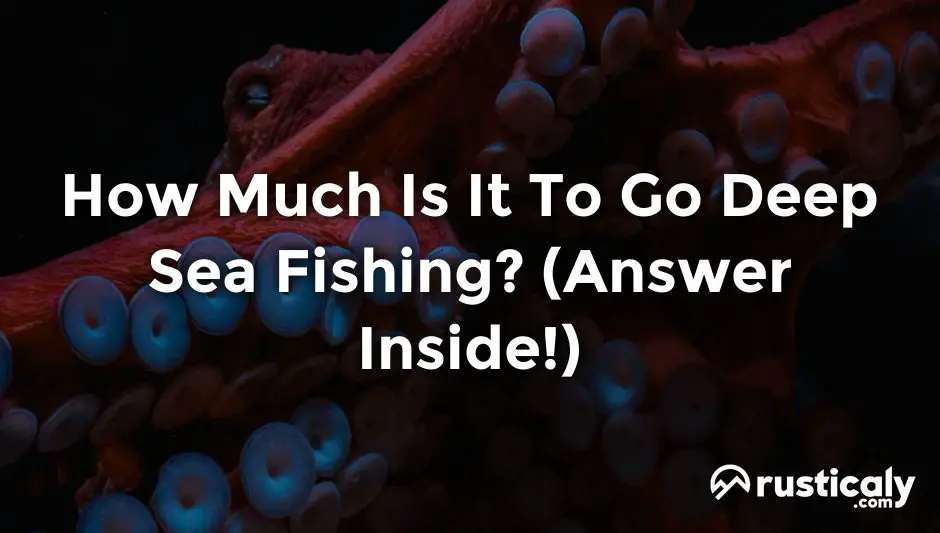 how much is it to go deep sea fishing