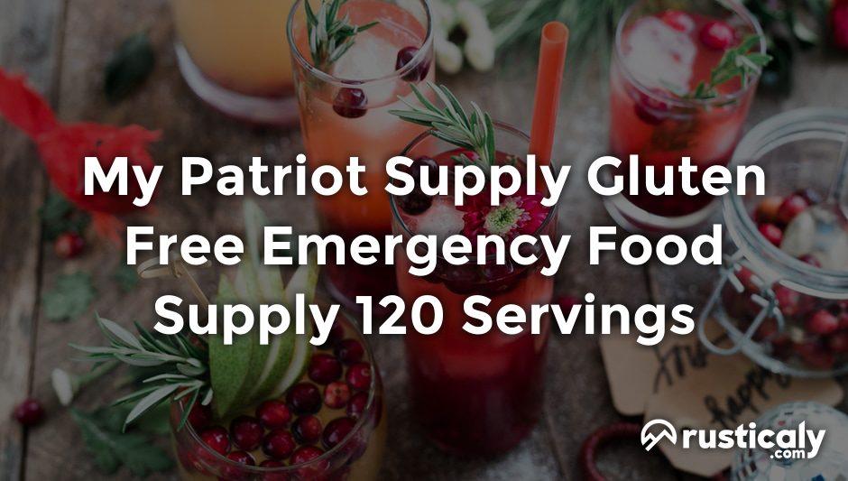 my patriot supply gluten free emergency food supply 120 servings