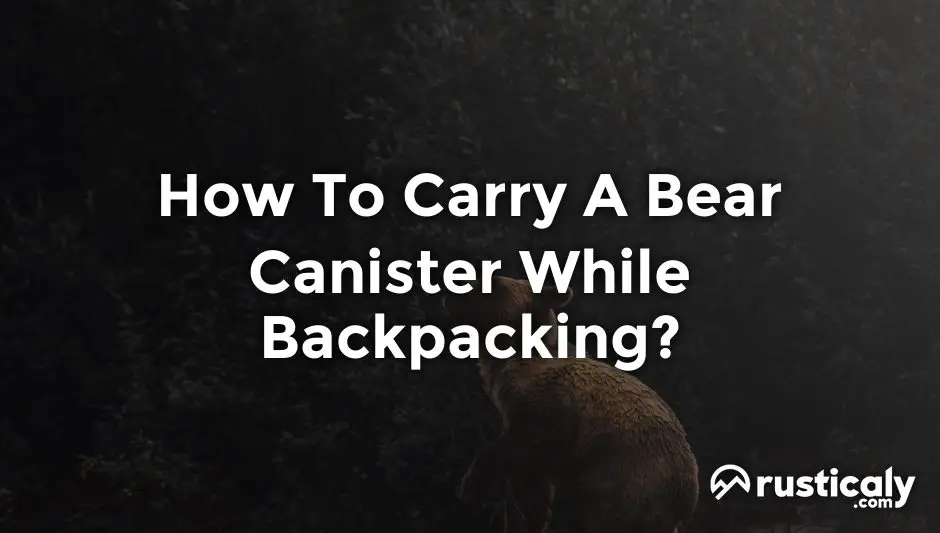 how to carry a bear canister while backpacking