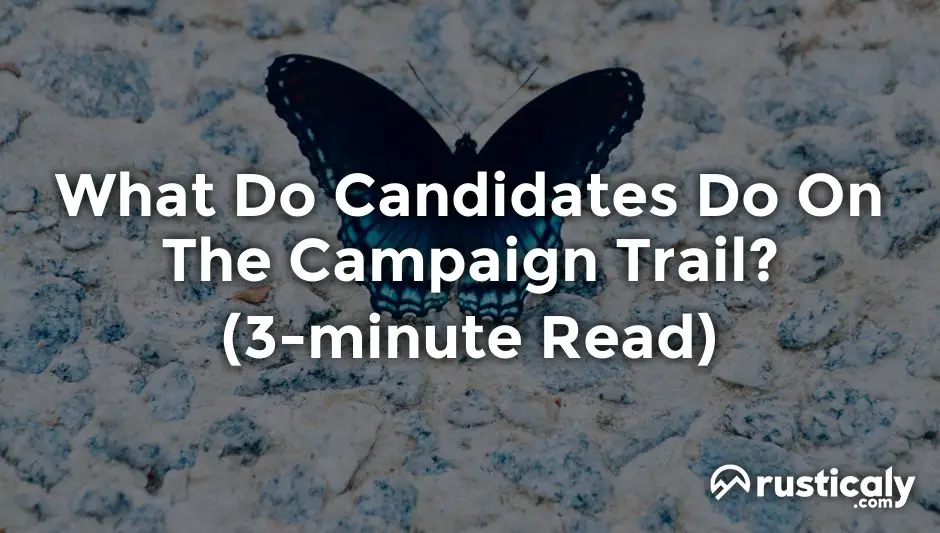 what do candidates do on the campaign trail