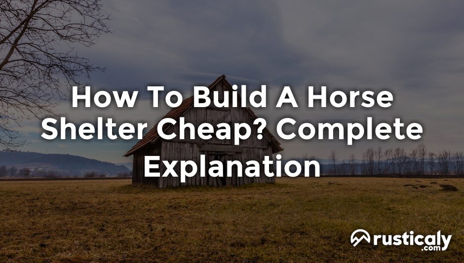 how to build a horse shelter cheap