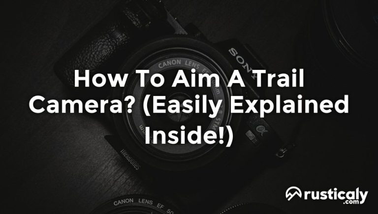 how to aim a trail camera