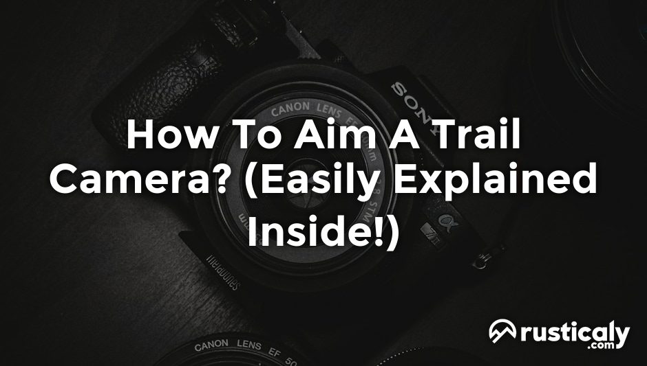 how to aim a trail camera