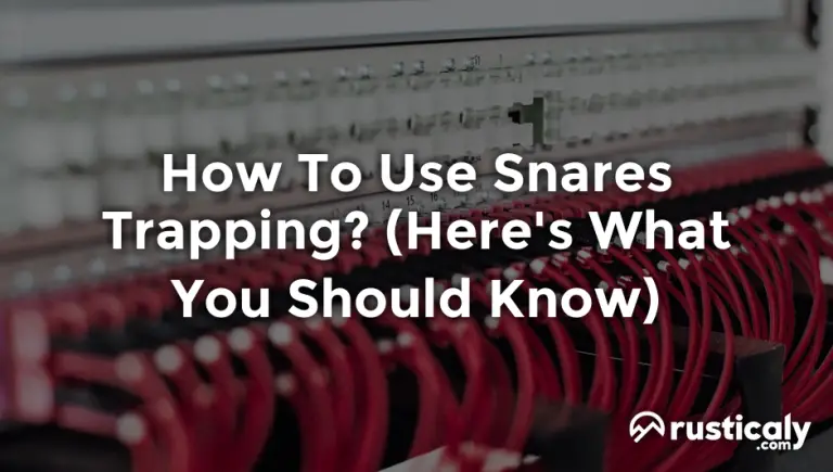 how to use snares trapping