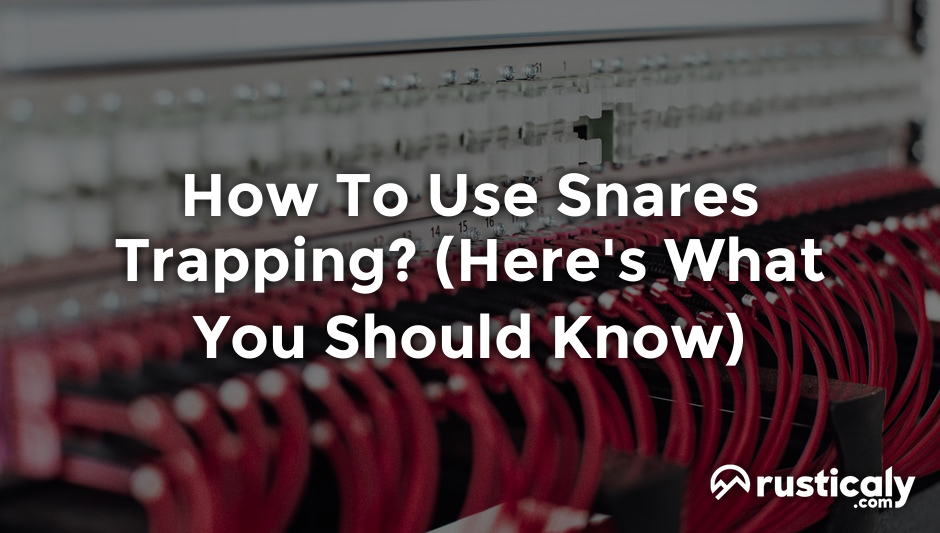how to use snares trapping