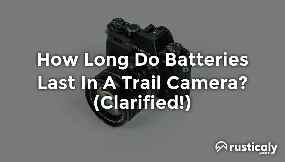 how long do batteries last in a trail camera