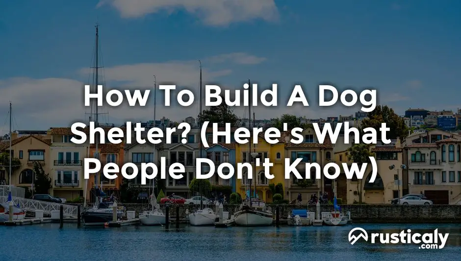 how to build a dog shelter