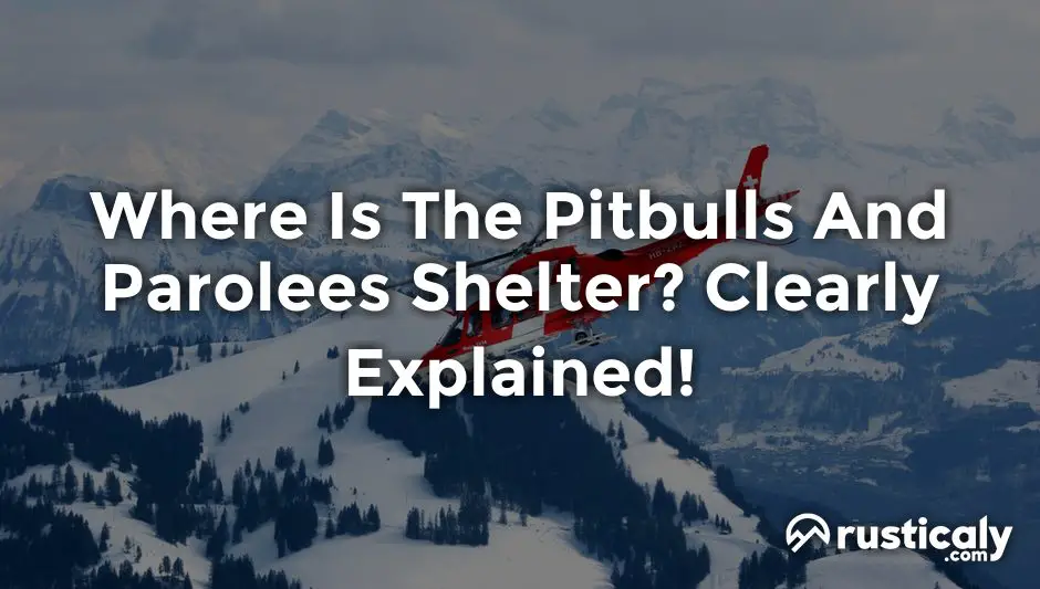 where is the pitbulls and parolees shelter