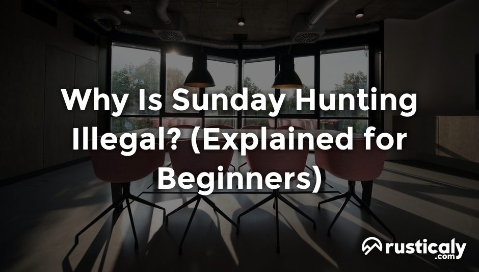 why is sunday hunting illegal