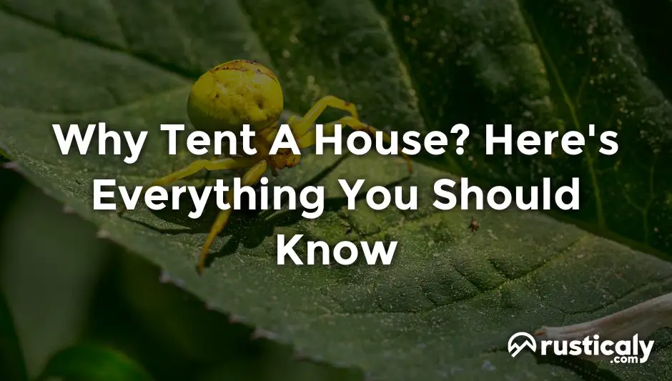 why tent a house