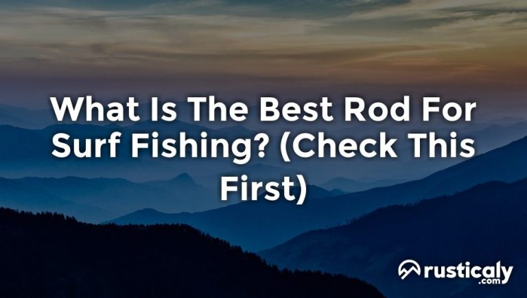 what is the best rod for surf fishing