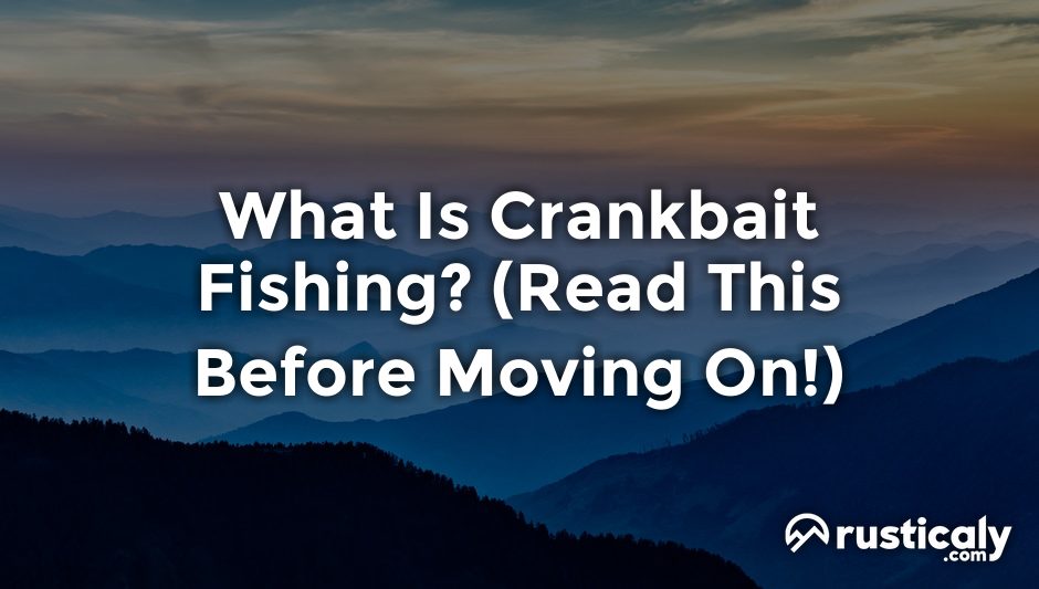 what is crankbait fishing