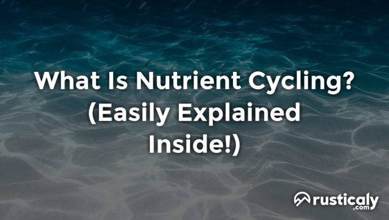what is nutrient cycling