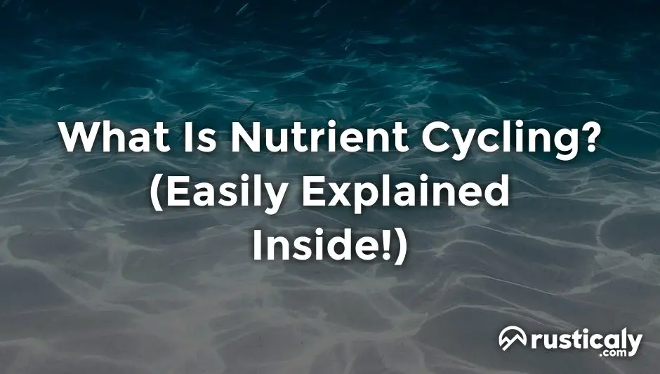 what is nutrient cycling
