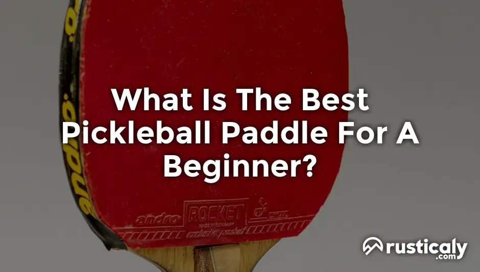 what is the best pickleball paddle for a beginner