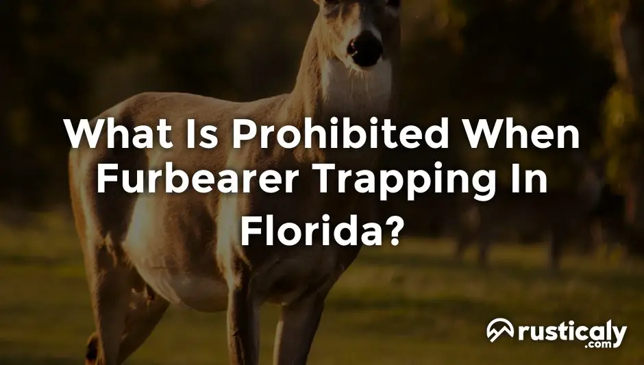 what is prohibited when furbearer trapping in florida?