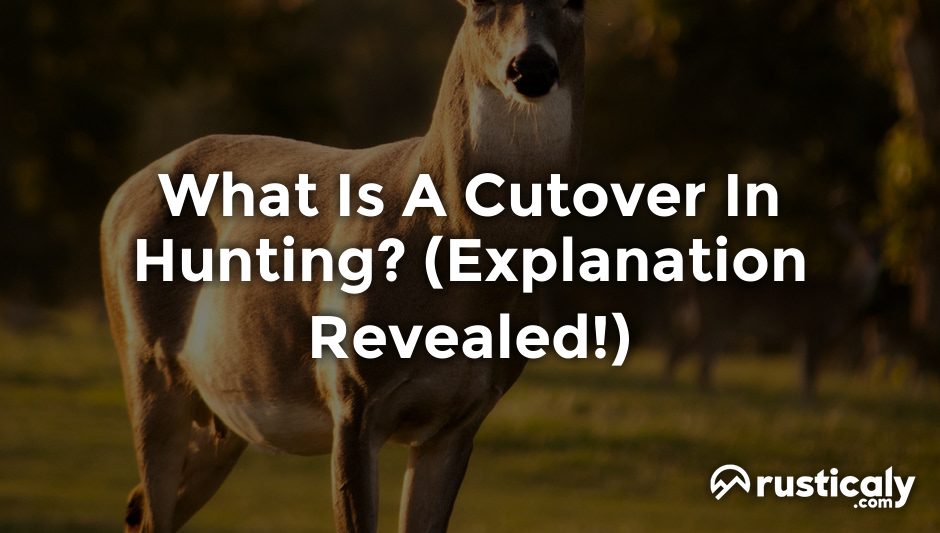 what is a cutover in hunting