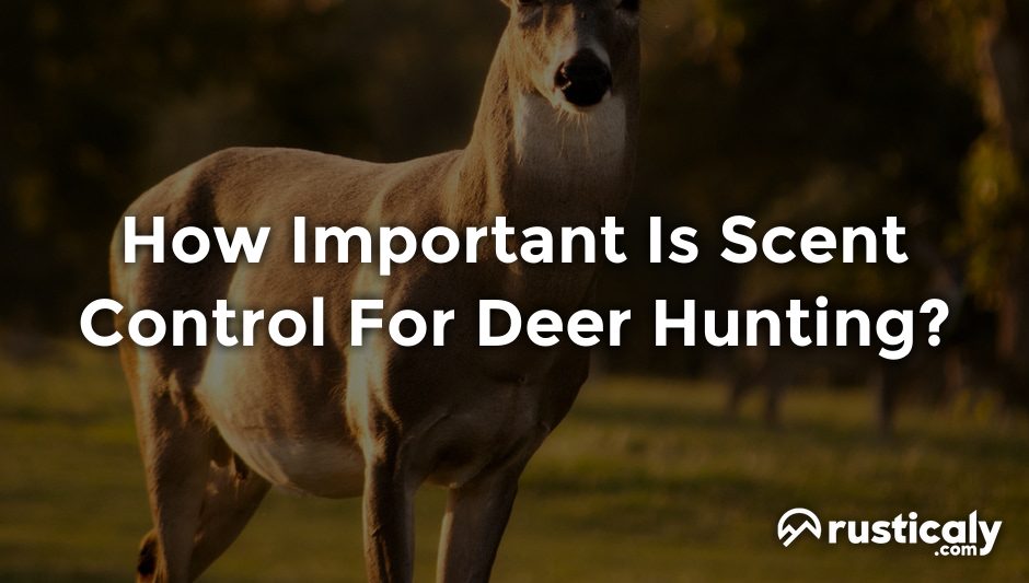 how important is scent control for deer hunting