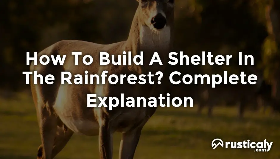 how to build a shelter in the rainforest
