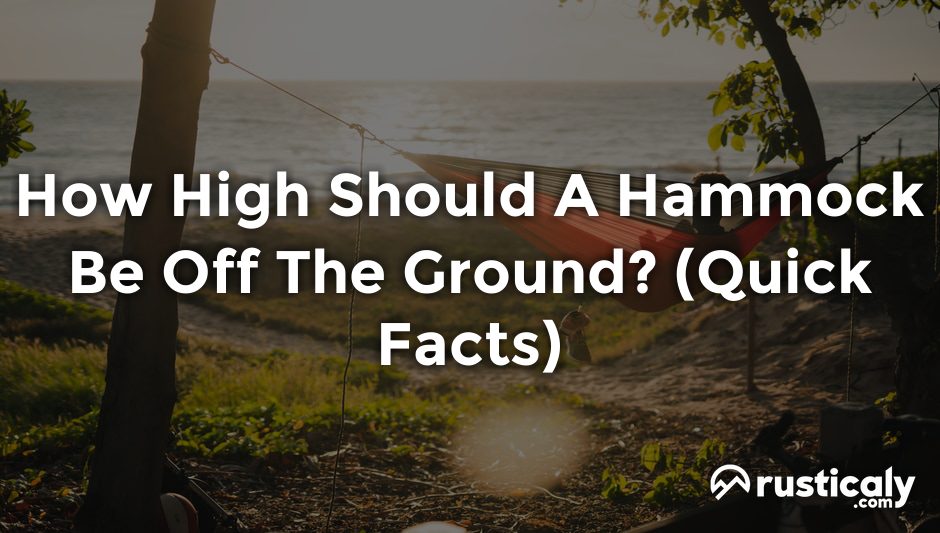 how high should a hammock be off the ground