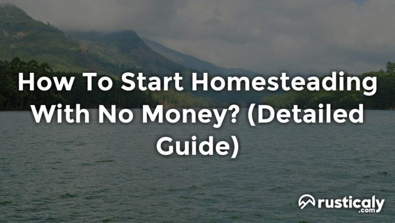 how to start homesteading with no money