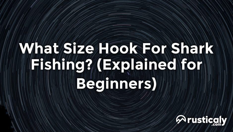 what size hook for shark fishing