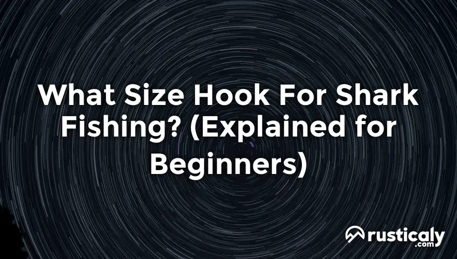 what size hook for shark fishing