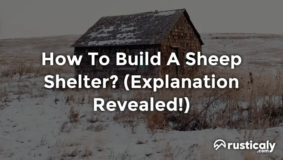 how to build a sheep shelter