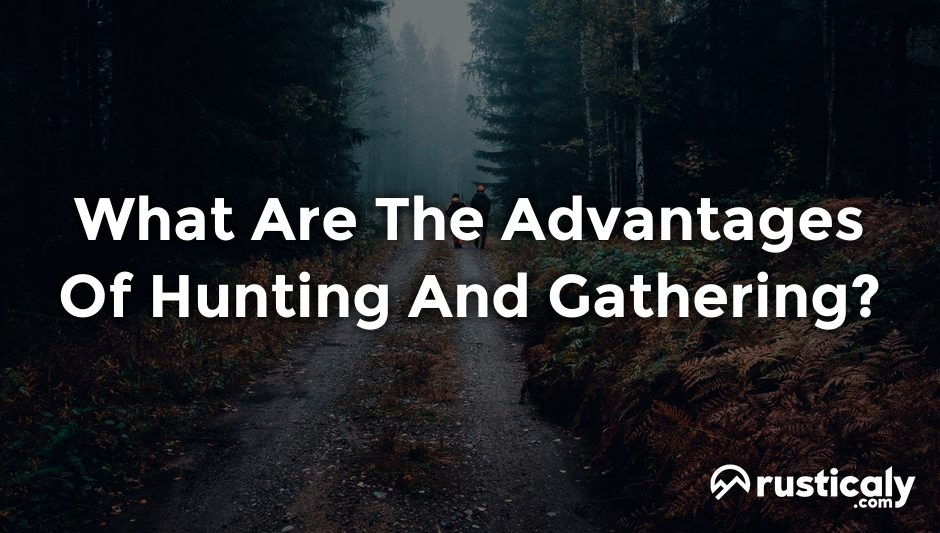 what are the advantages of hunting and gathering