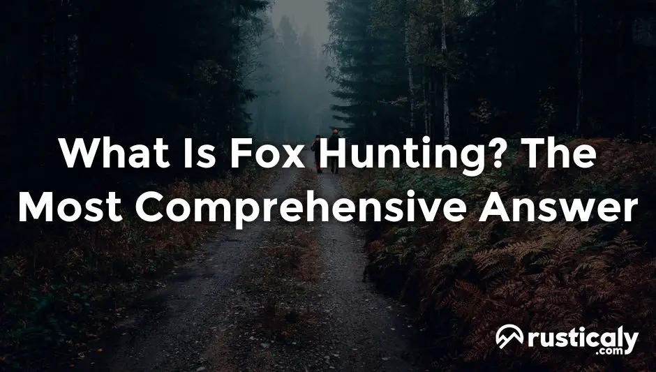 what is fox hunting
