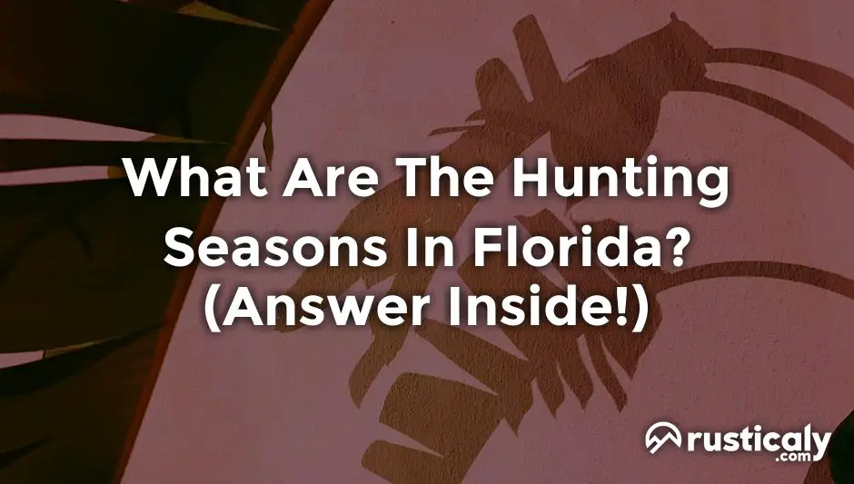 what are the hunting seasons in florida