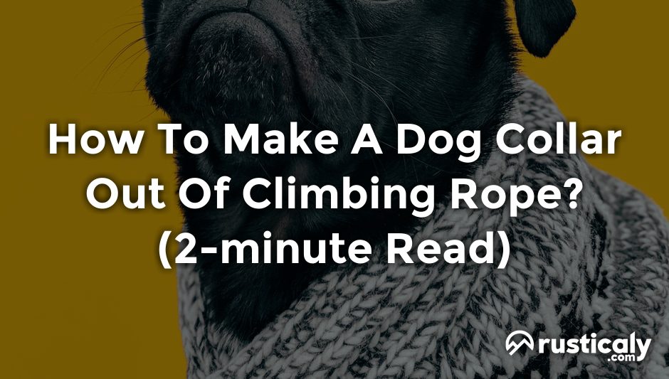 how to make a dog collar out of climbing rope
