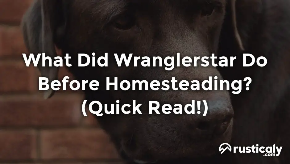 what did wranglerstar do before homesteading