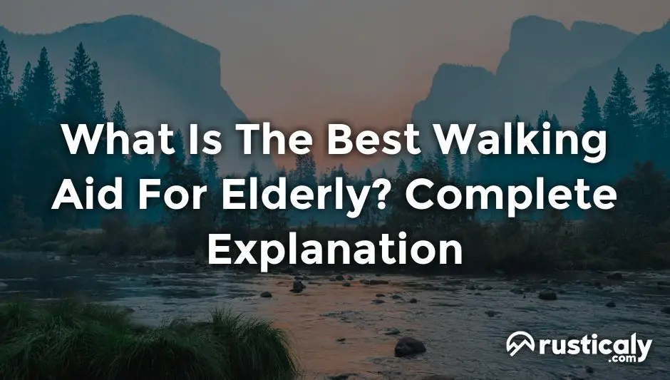 what is the best walking aid for elderly