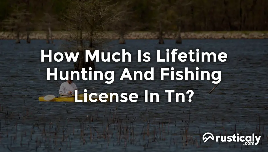 How Much Is Lifetime Hunting And Fishing License In Tn?