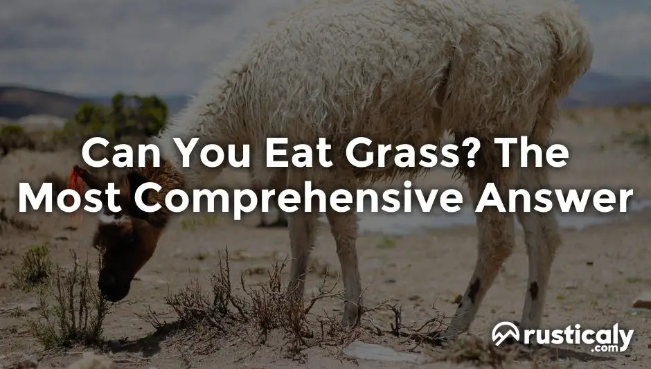 can you eat grass