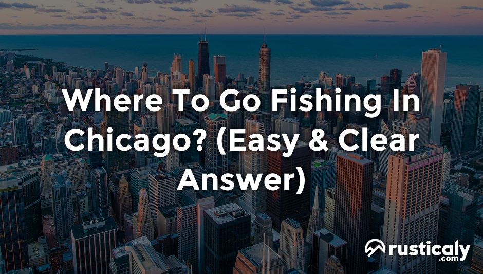 where to go fishing in chicago
