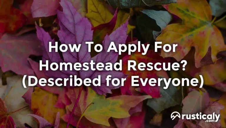 how to apply for homestead rescue