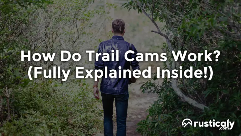 how do trail cams work