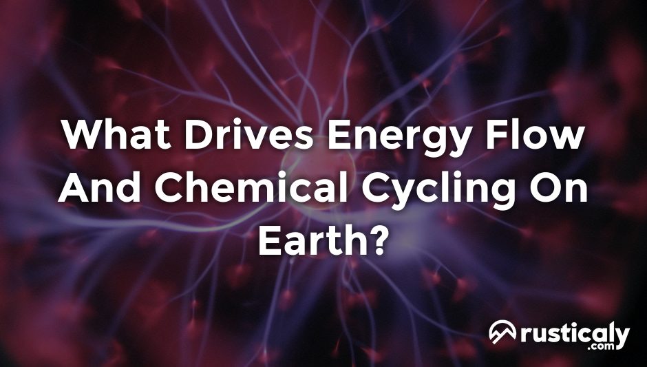 what drives energy flow and chemical cycling on earth