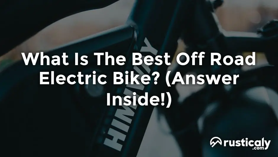 what is the best off road electric bike