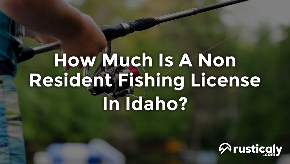 how much is a non resident fishing license in idaho