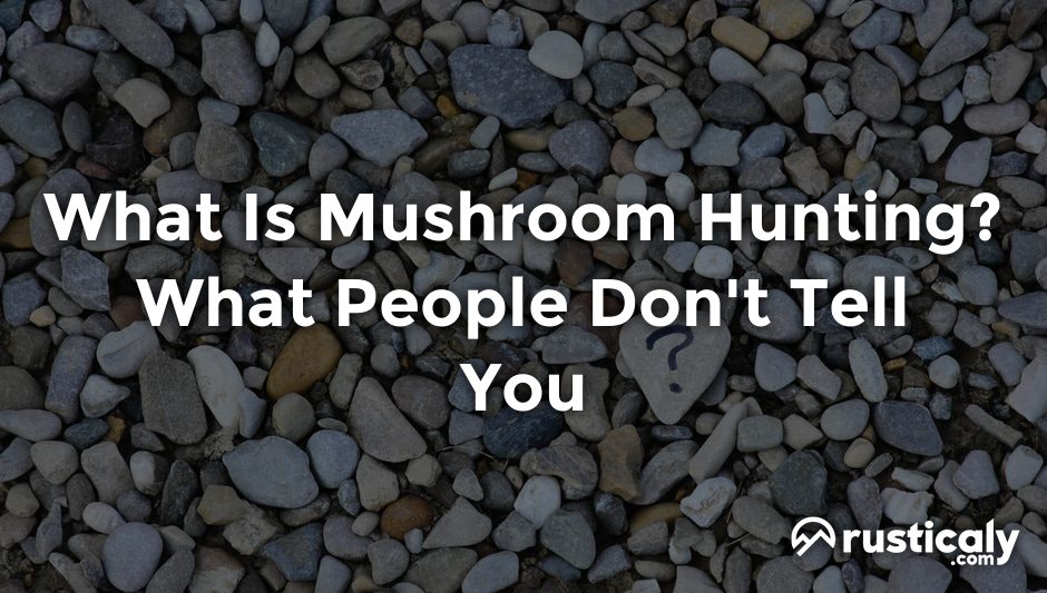 what is mushroom hunting
