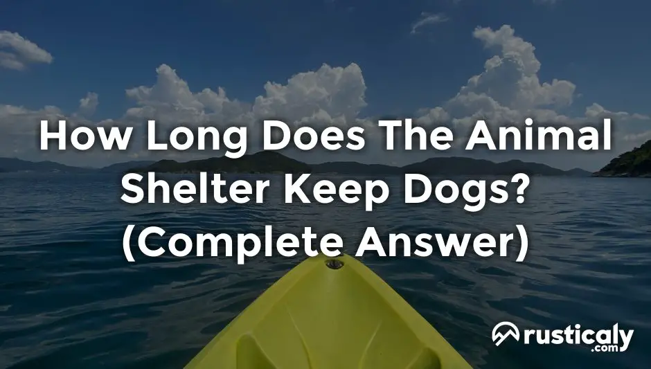 how long does the animal shelter keep dogs