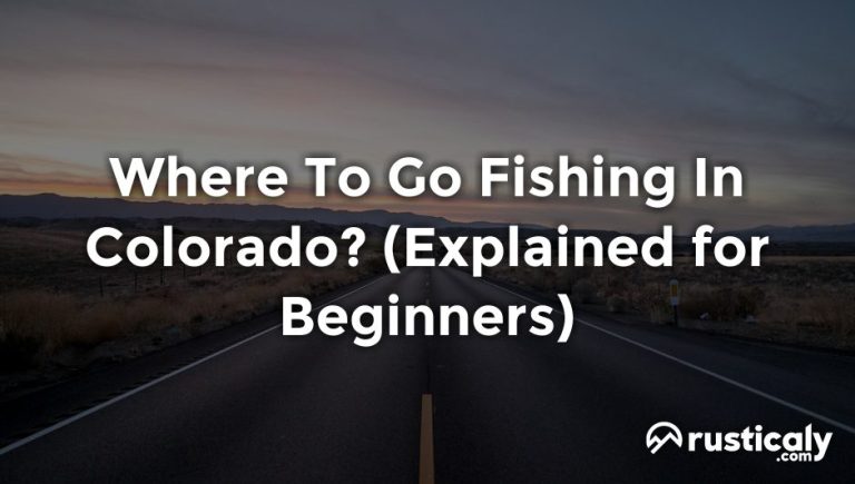 where to go fishing in colorado