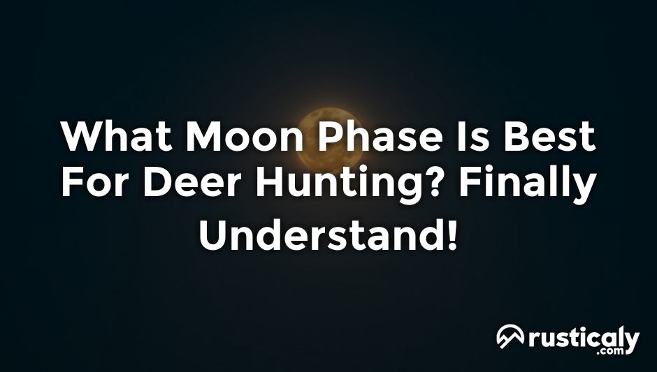 What Moon Phase Is Best For Deer Hunting? Clearly Explained!