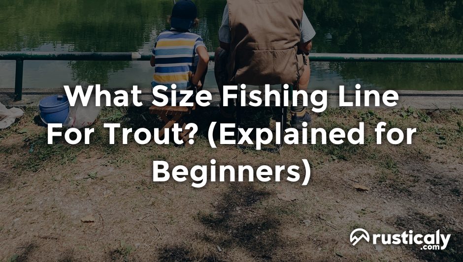 what size fishing line for trout